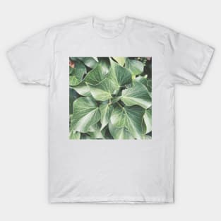 Beautiful Green Plant T-Shirt